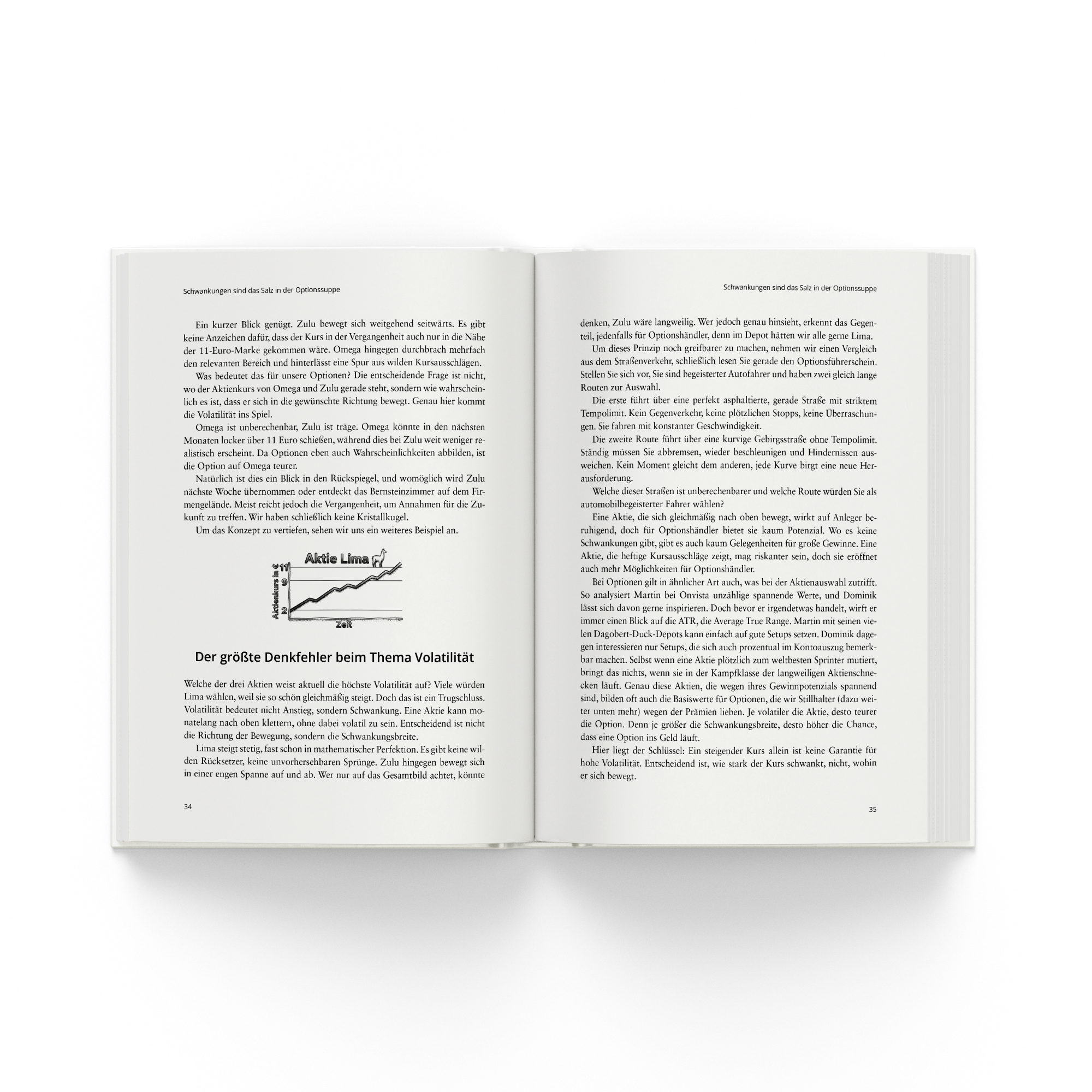 Der Optionsführerschein